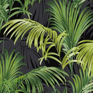 Alternative view of DEC11-5